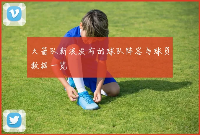 火箭队新浪发布的球队阵容与球员数据一览