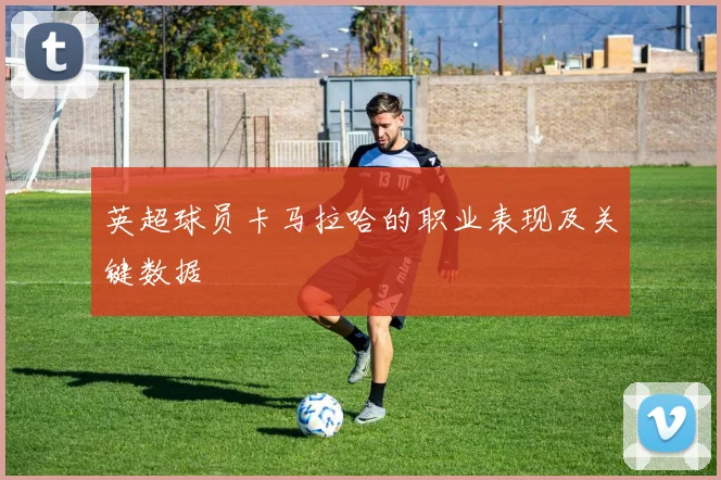 英超球员卡马拉哈的职业表现及关键数据