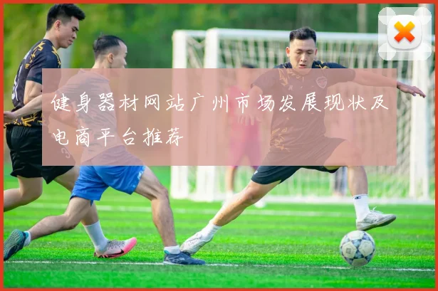 健身器材网站广州市场发展现状及电商平台推荐