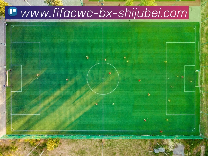 布兰特入选德甲最佳阵容所代表的球队分析