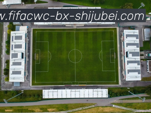 奖项证书
