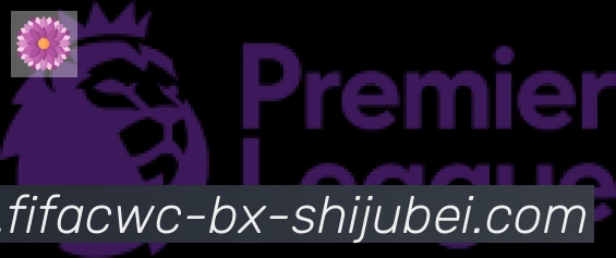 世界杯直播合作伙伴